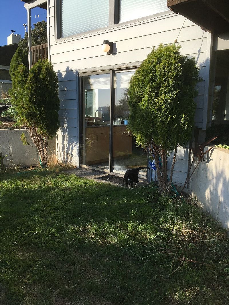 Private river-side yard and glass sliding door.