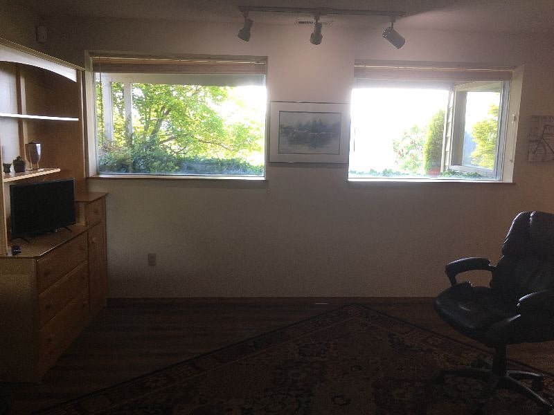 Living room windows