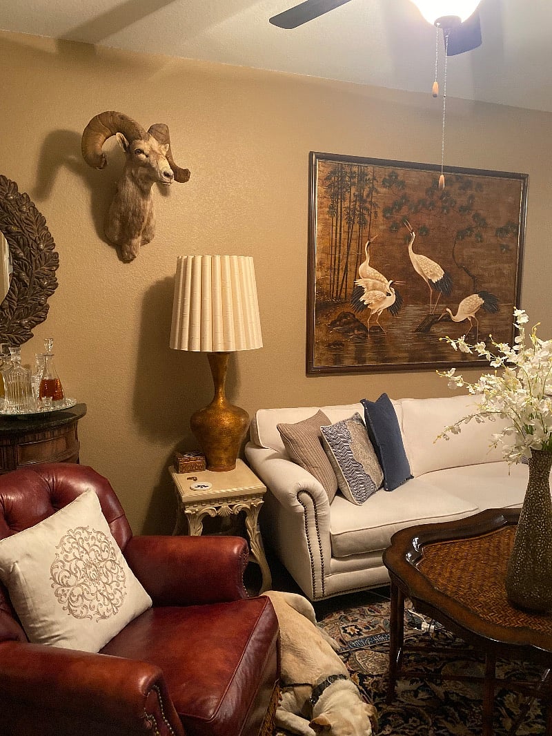 Eclectic Living Room! Things from all over the world!