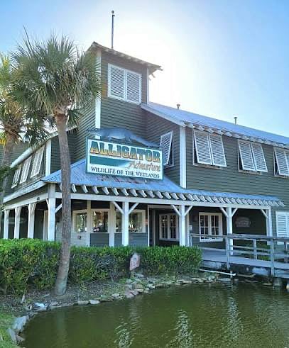 Furnished Finder property 298632_1 photo 41