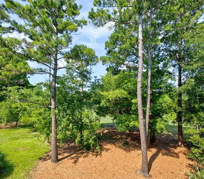 Furnished Finder property 298632_1 photo 22