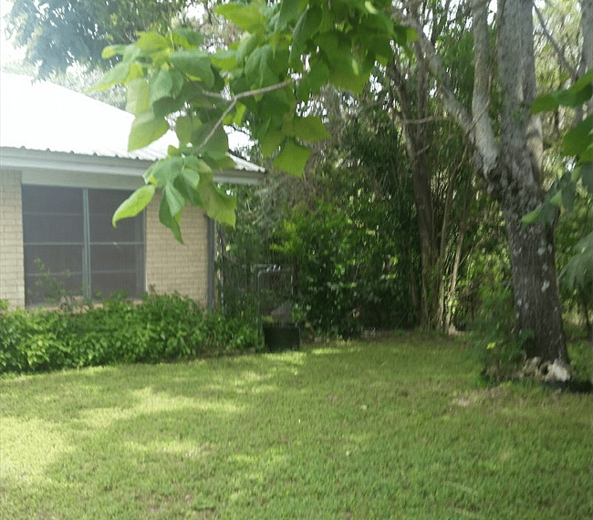 This separate cottage with wonderful hillside views is attached to this main house with its own separate entrance and privacy.