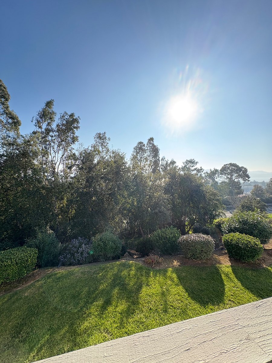Furnished Finder property 298823_1 photo 29