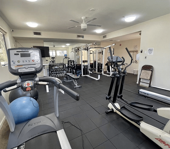 Furnished Finder property 298831_1 photo 19