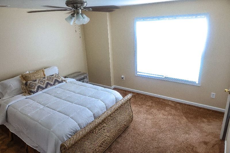 Furnished Finder property 298858_1 photo 19
