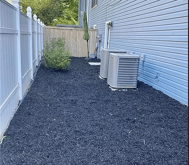 Fenced Side Yard