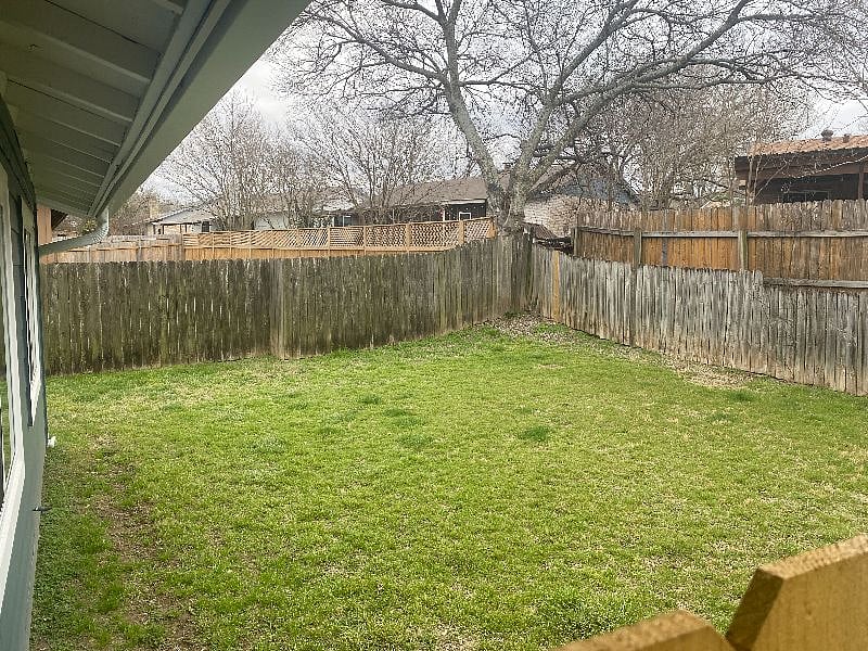 Grassy backyard