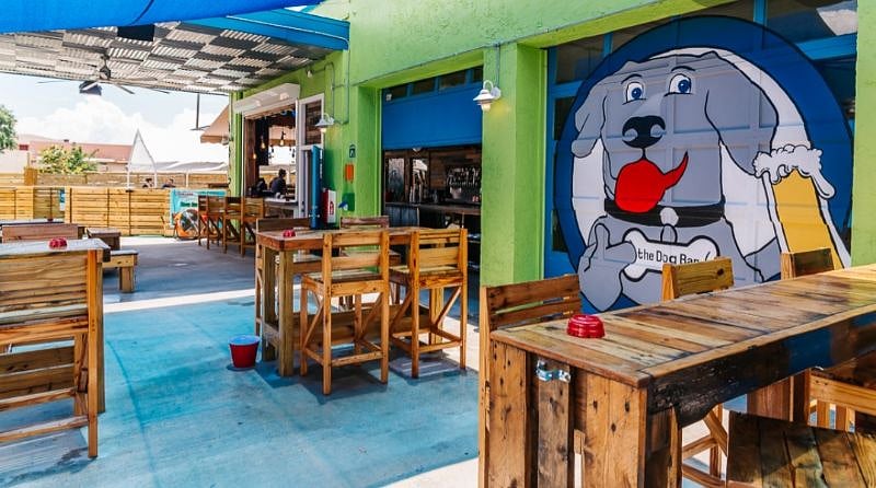 The Dog Bar