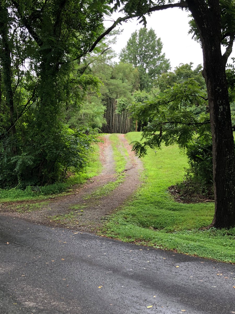 Up driveway from Grassmere Road