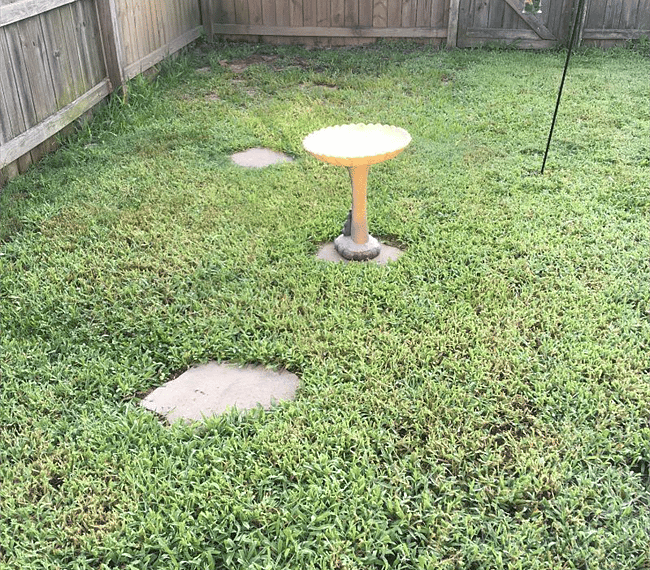 Furnished Finder property 299329_1 photo 10
