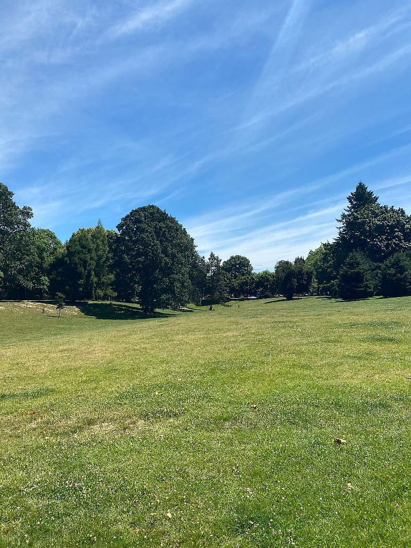 Off leash dog park.