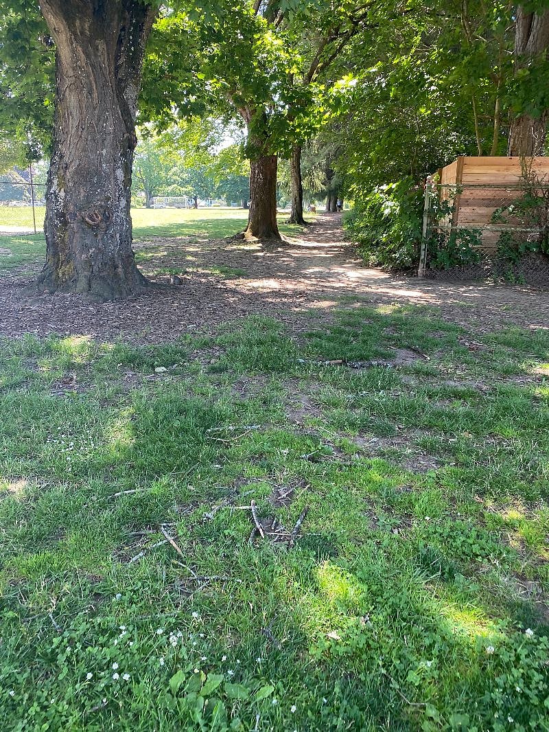 Park trails.