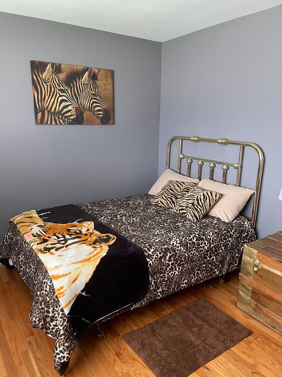 Furnished Finder property 299456_1 photo 31