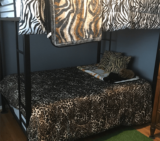 Furnished Finder property 299456_1 photo 14