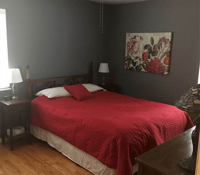 Furnished Finder property 299456_1 photo 18