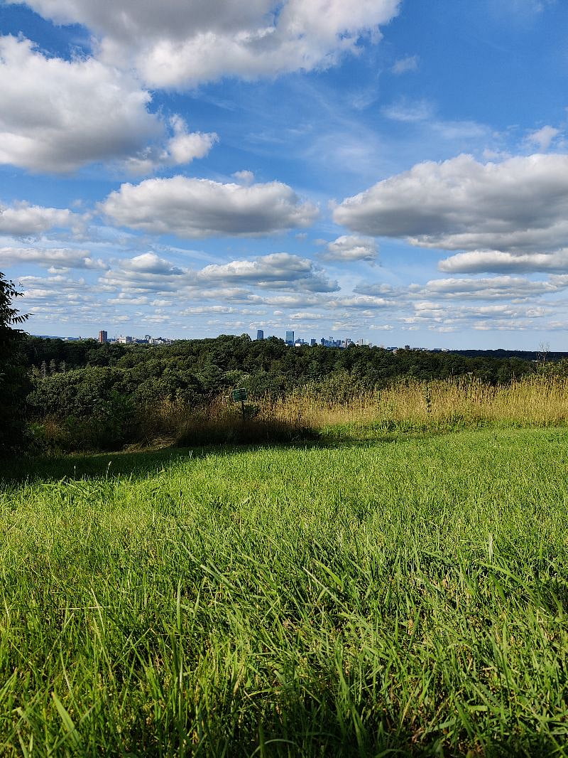 Peter's Hill City Vista - a walk away
