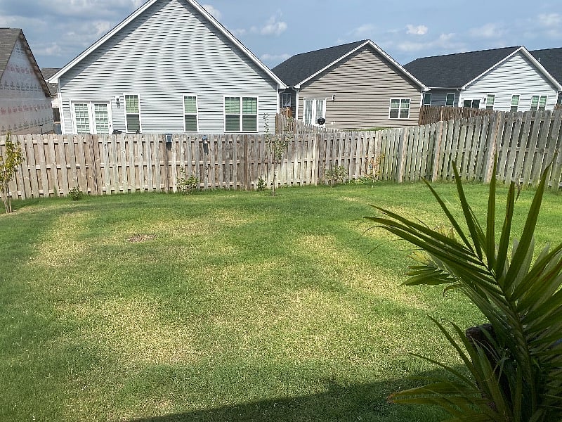 Furnished Finder property 299516_1 photo 8