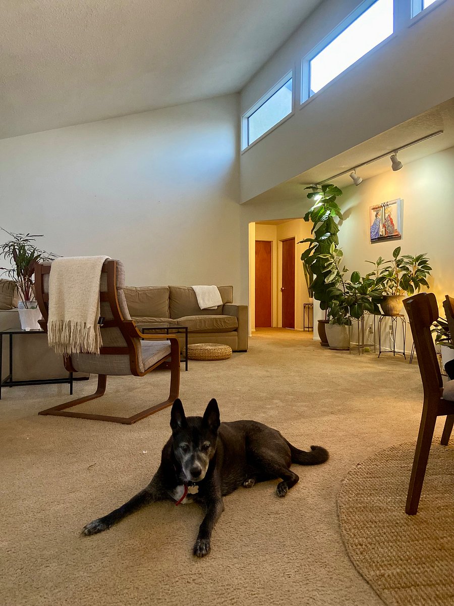 Furnished Finder property 299554_1 photo 6