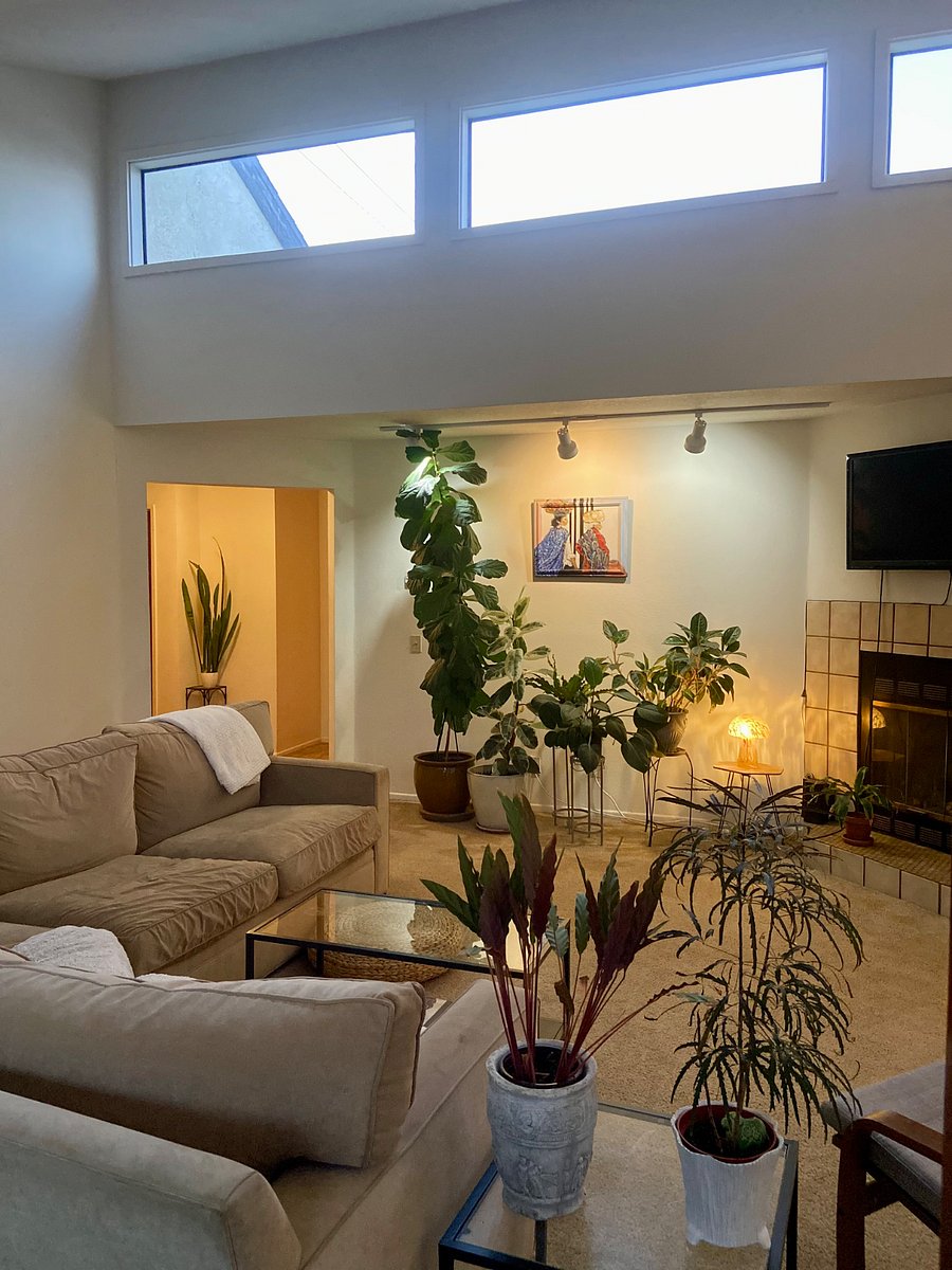 Furnished Finder property 299554_1 photo 5