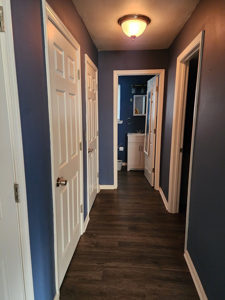 Furnished Finder property 299563_3 photo 19