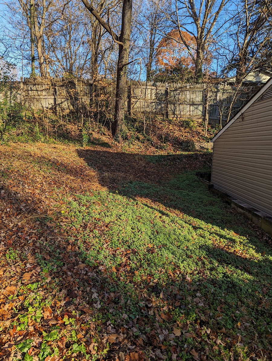 Furnished Finder property 299584_1 photo 28