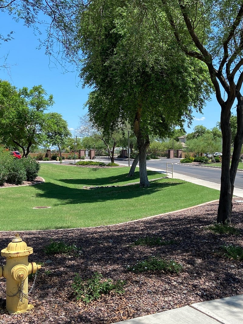 Next to my house.