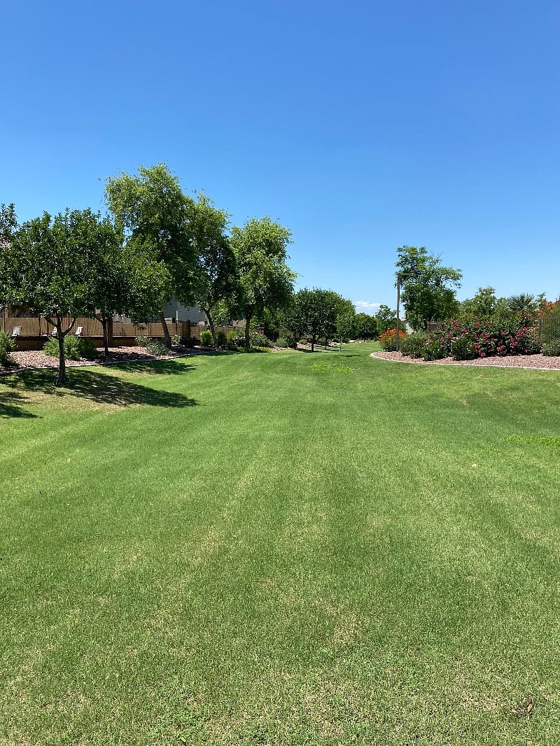 Grass, playground, basketball courts.