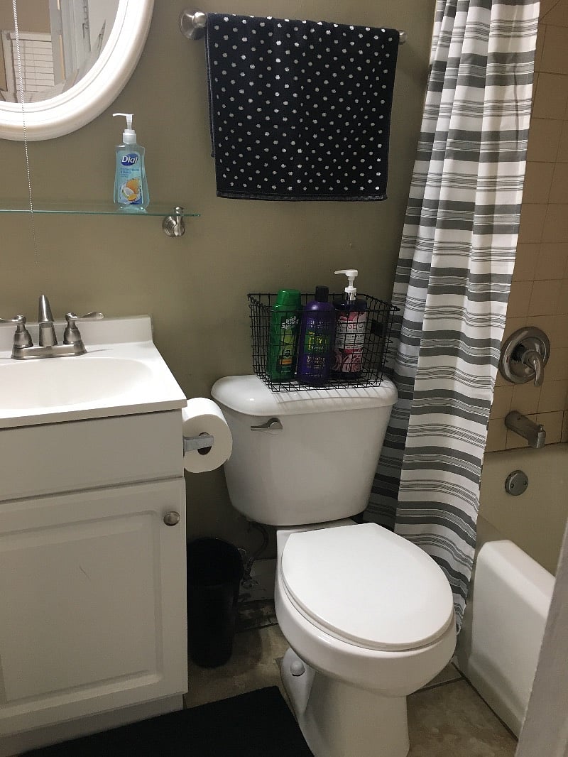 Furnished Finder property 299735_1 photo 13