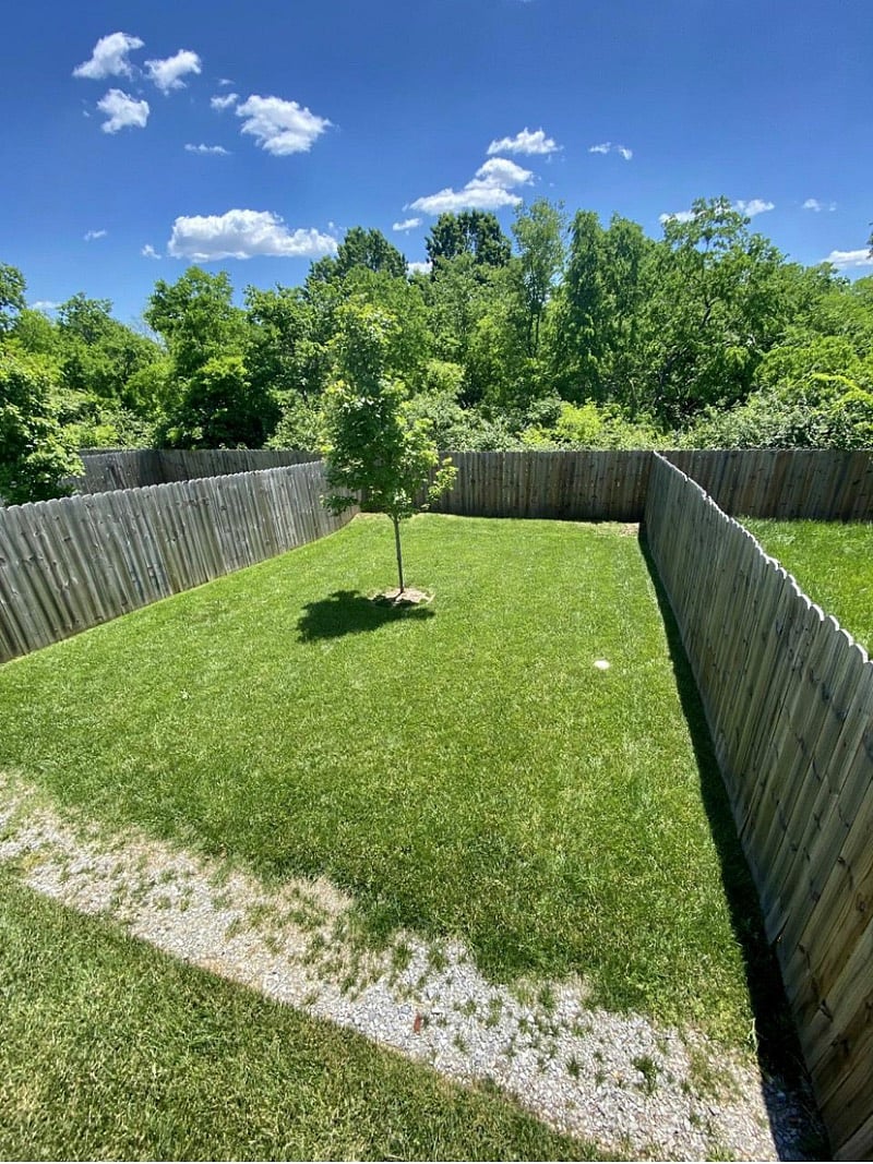Furnished Finder property 299753_1 photo 4