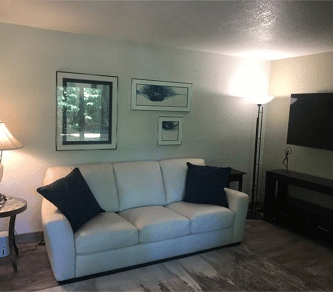 living room pic 2