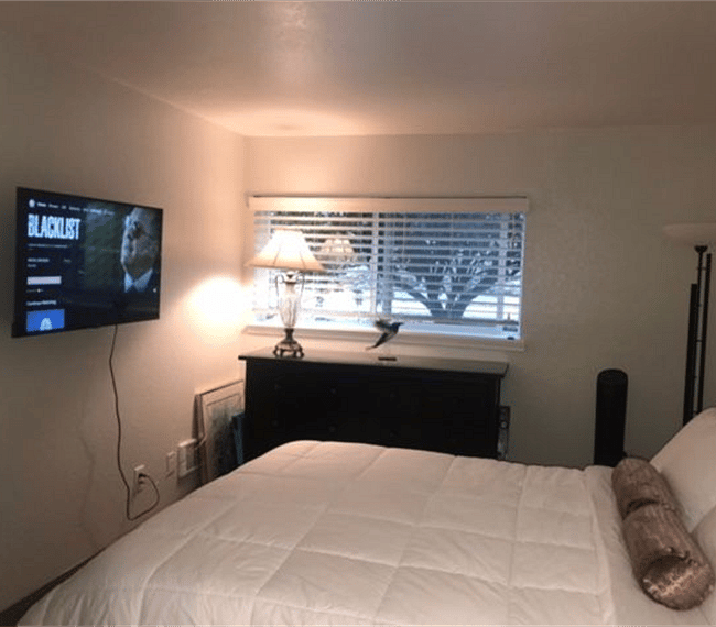 master bedroom with TV