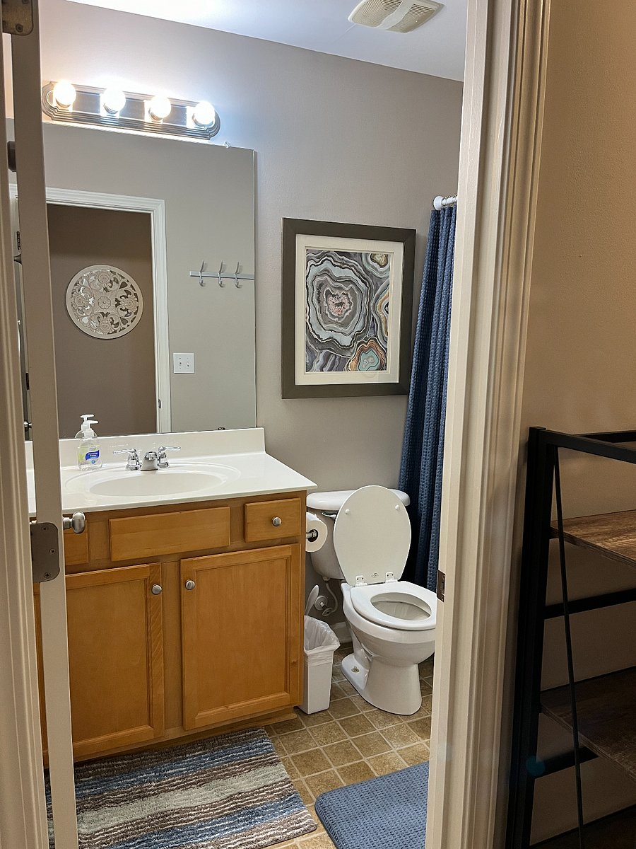 Furnished Finder property 299983_3 photo 8