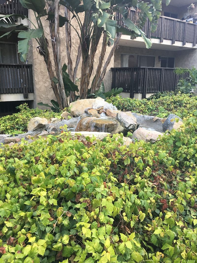 Another Creek