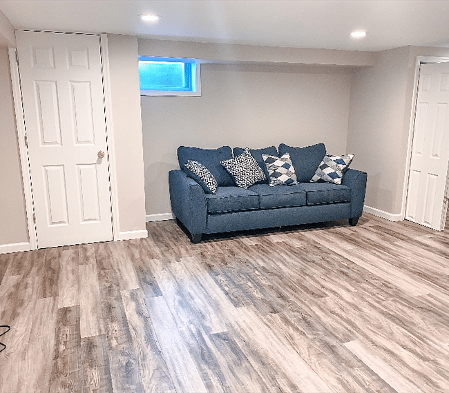 Queen pullout couch in the basement