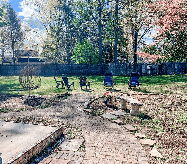 .5 acre backyard