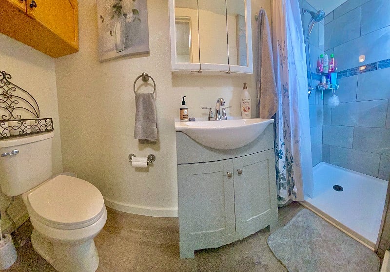 Furnished Finder property 300082_1 photo 17