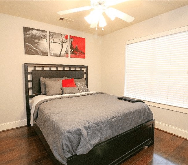 Furnished Finder property 300148_1 photo 17