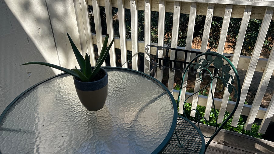 Furnished Finder property 300185_1 photo 17
