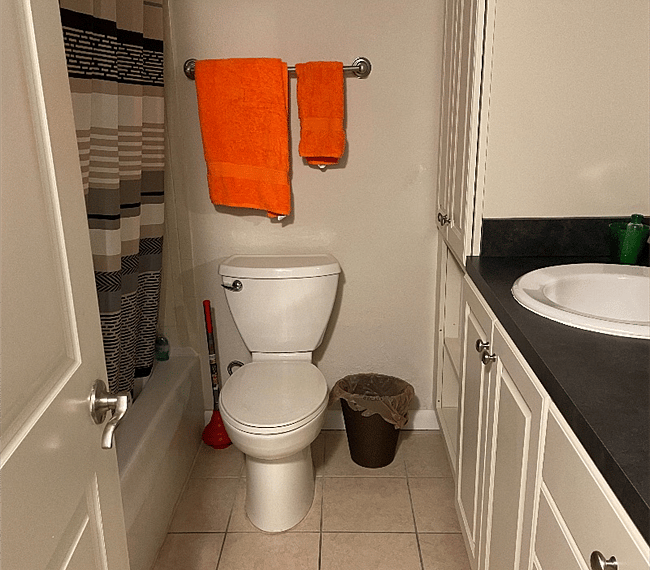 Furnished Finder property 300241_1 photo 10