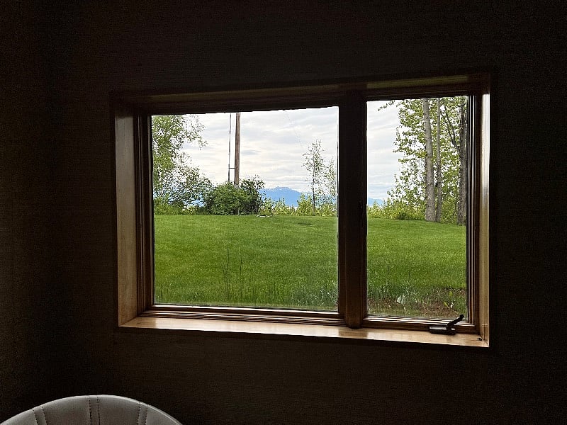 Summer view from living room
