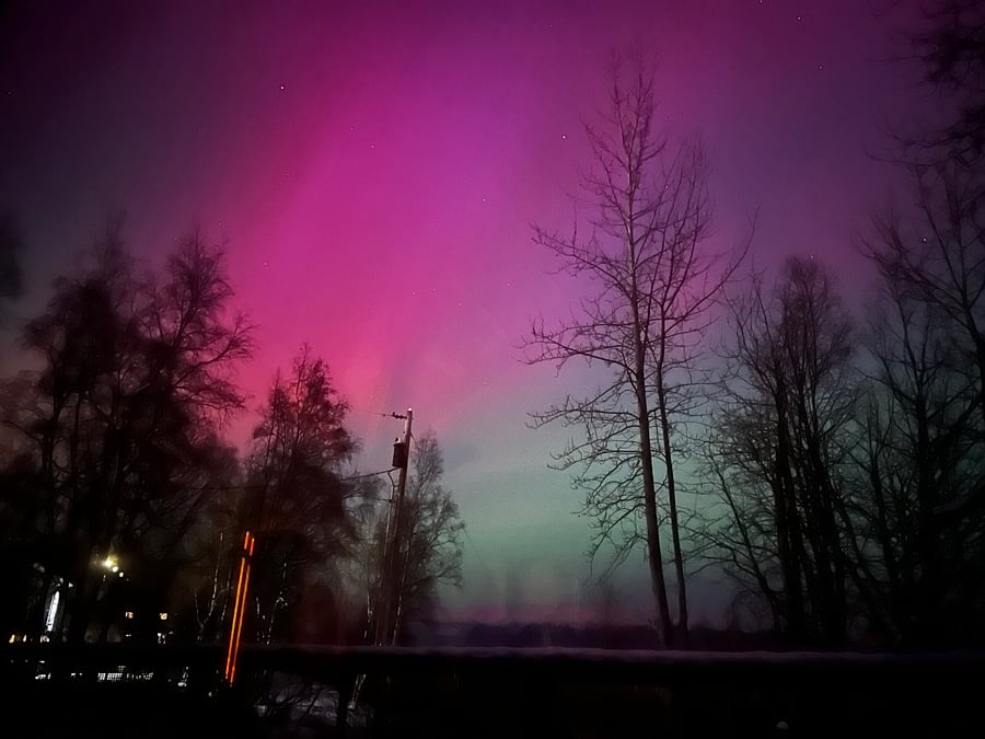 Fall 2025 incredible aurora show in the back yard!