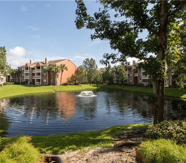 Furnished Finder property 300302_1 photo 16