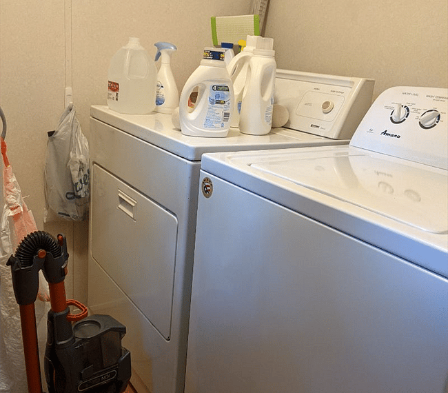 Full sized washer and dryer with starter supply of laundry detergent