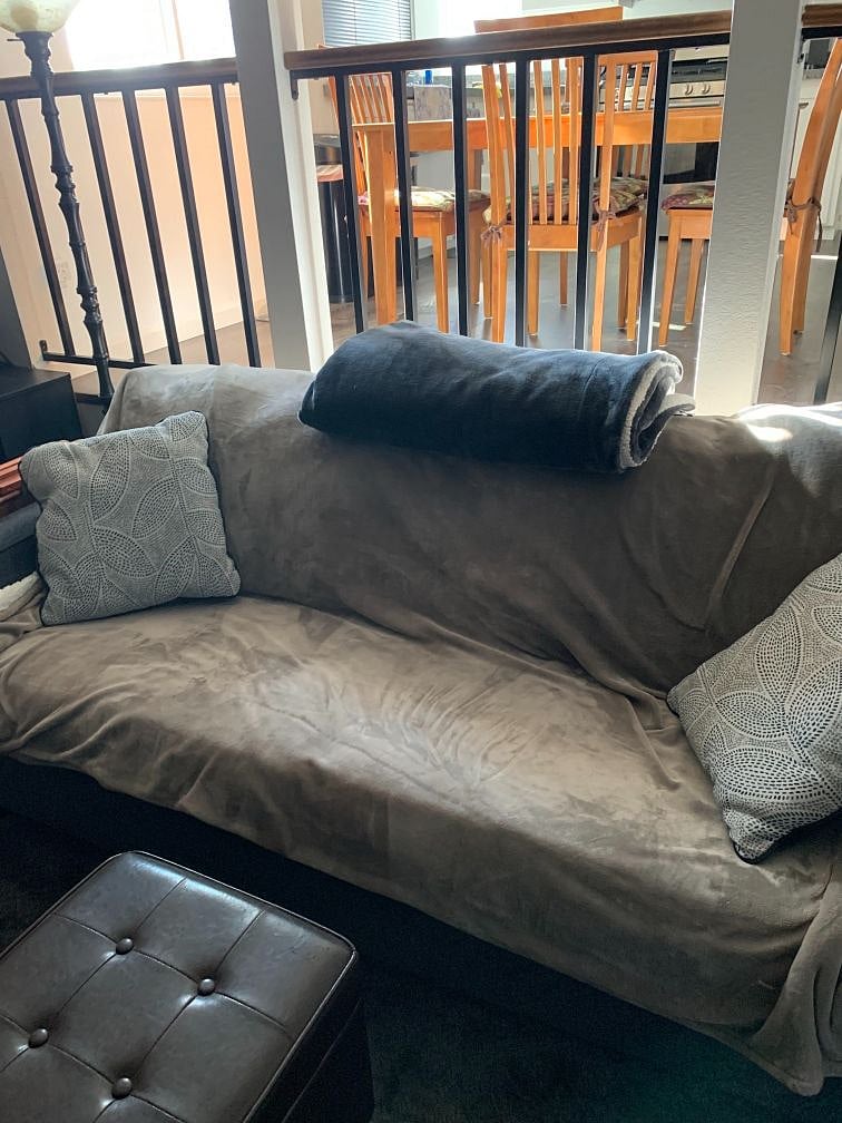 Furnished Finder property 300561_1 photo 10