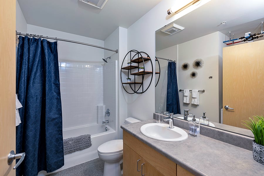 Furnished Finder property 300685_1 photo 5