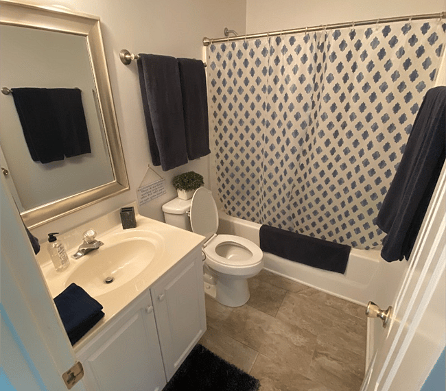 Furnished Finder property 300795_1 photo 11