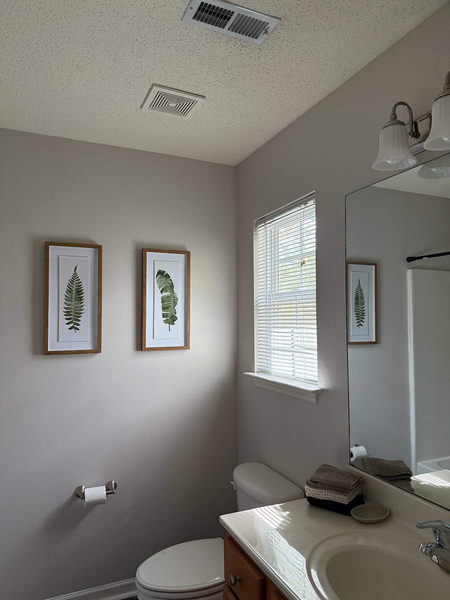 Furnished Finder property 300821_1 photo 15