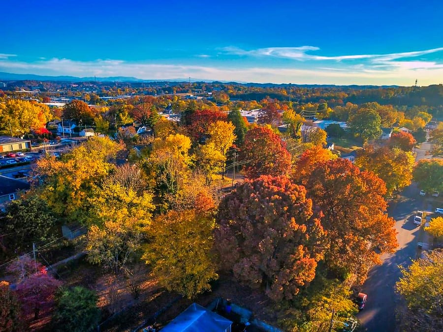 Trees in the neighborhood turning in the fall. Great hiking only steps outside the back door on Sharp's Ridge.
