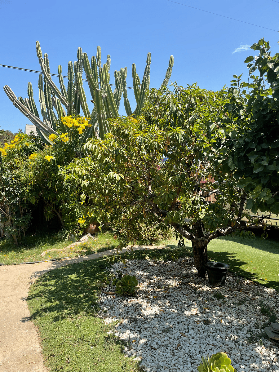 Furnished Finder property 300965_2 photo 10