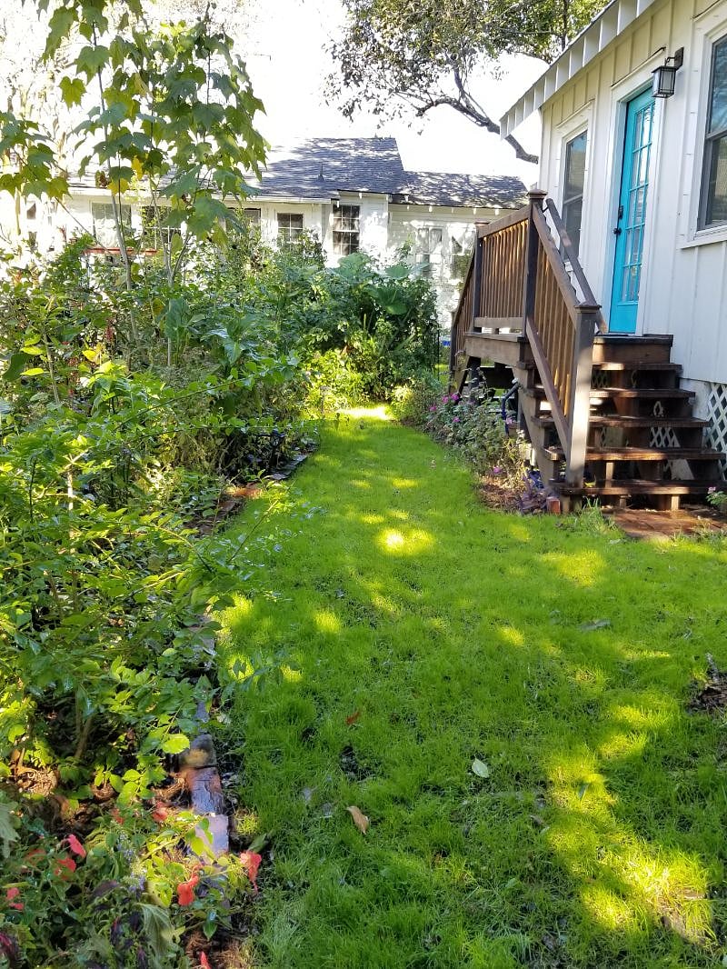 Furnished Finder property 301250_1 photo 31
